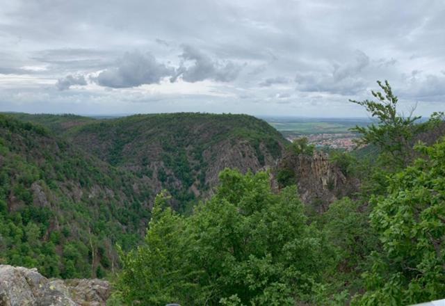Unser Ferienhaus Im Harz Thale Exteriör bild